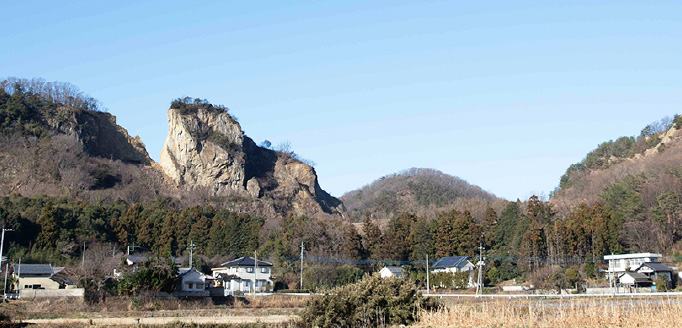 法人について