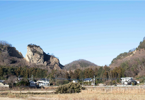 法人について